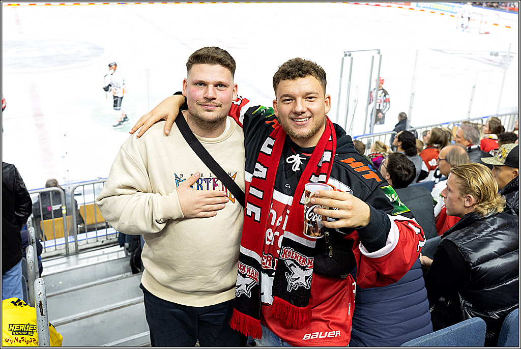 PENNY DEL;  Kölner Haie - Grizzly Wolfsburg; Köln, 26.10.2022